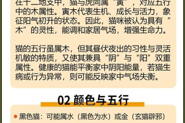 家居风水调理与五行的关联