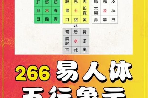 家居风水调理与五行的关联