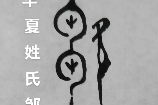 邹姓女孩名字大全-邹姓女孩起名字大全-邹姓名字大全姓名