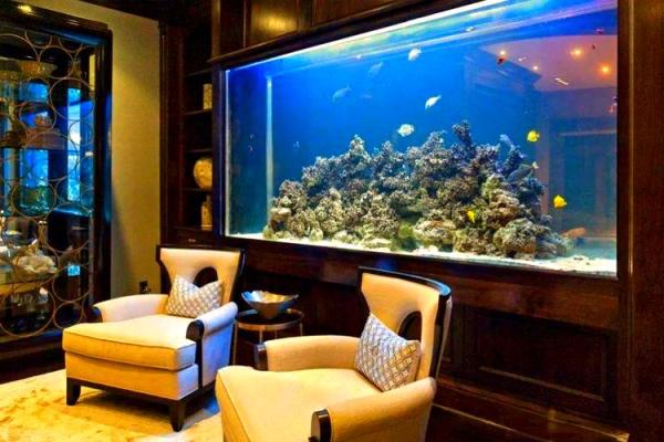 房子东面放鱼缸的风水