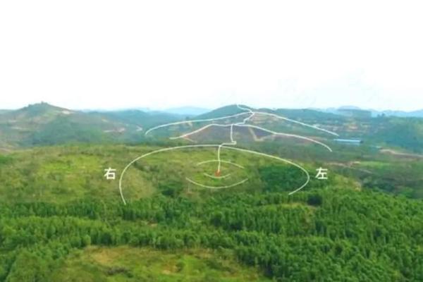 事关后代，墓地风水龙穴砂水向