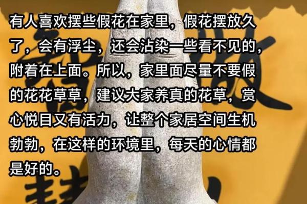 假花放在哪里不会影响家里风水呢 假花放在哪里不会影响家里风水呢