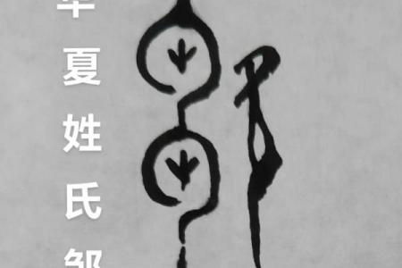 邹姓女孩名字大全-邹姓女孩起名字大全-邹姓名字大全姓名