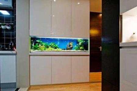 房子东面放鱼缸的风水