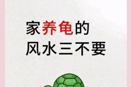房子风水中乌龟串堂