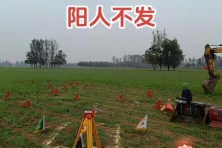 墓地朝向风水，凶吉自断不求人