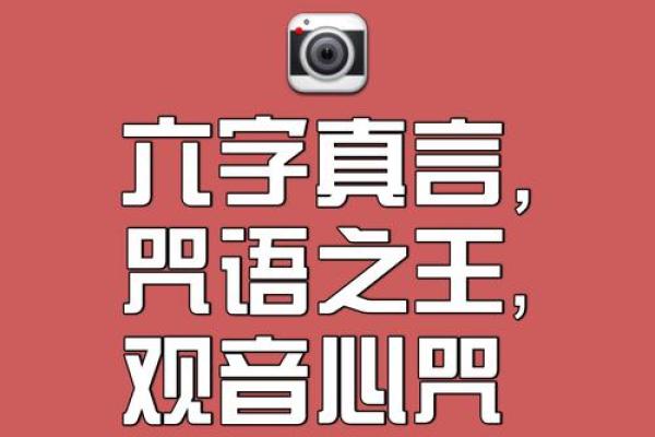 观音姻缘经 观世音菩萨姻缘咒语？