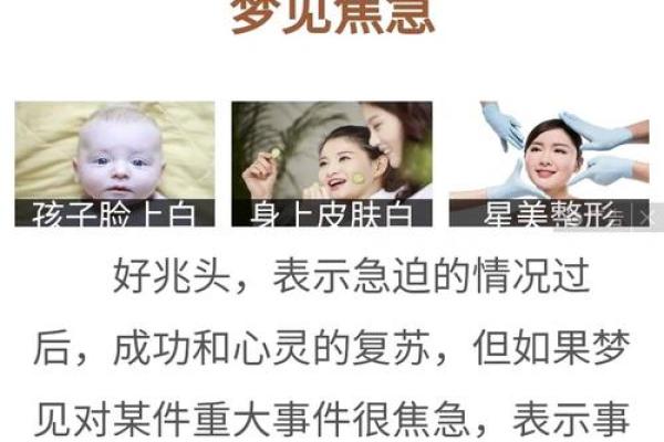 周公灵签第一签得帝王