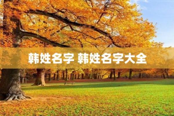 韩姓女孩名字大全-韩姓女孩起名字大全-韩姓名字大全姓名 韩姓女孩名字大全-韩姓女孩起名字大全-韩姓名字大全姓名