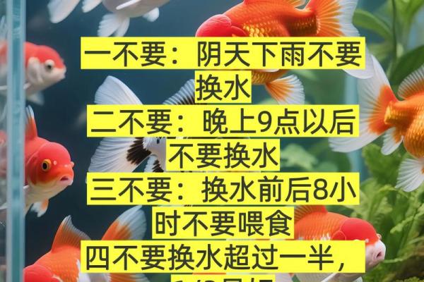 养鱼风水讲究需要注意哪些方面呢