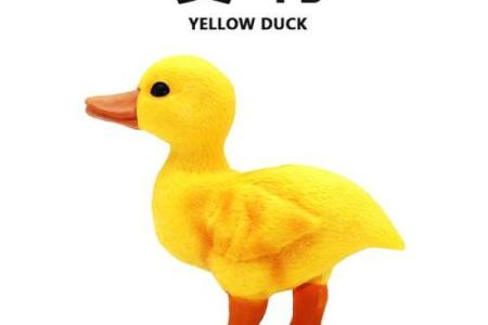 小黄鸭 风水