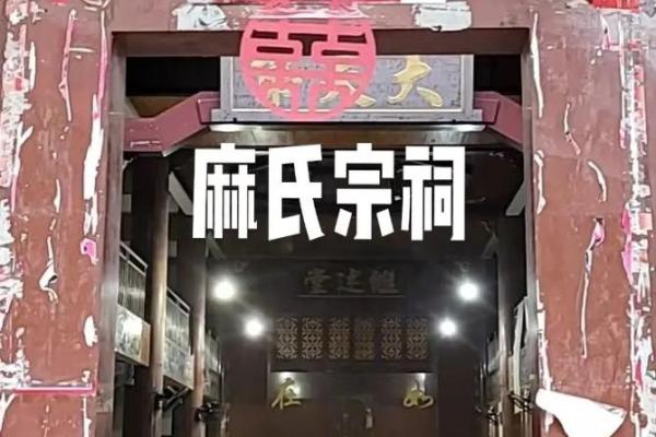 麻姓女孩名字大全-麻姓女孩起名字大全-麻姓名字大全姓名