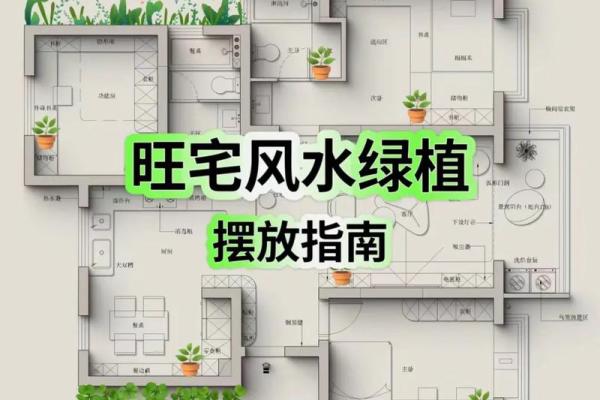 好房的风水，好房子风水案例解析