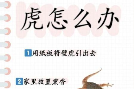 风水学家里有壁虎什么征兆是吉吗