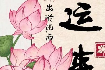 好风水的标准，有这些人生开挂