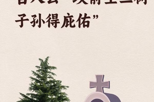 风水财运门前种树也不要种这三棵树禁忌