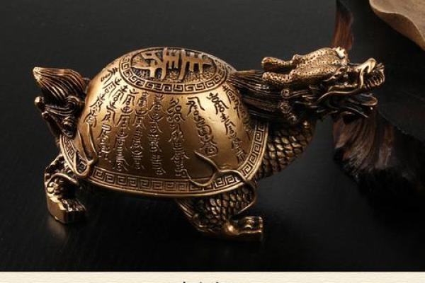 风水化煞龟选哪种如何选择适合自己的？