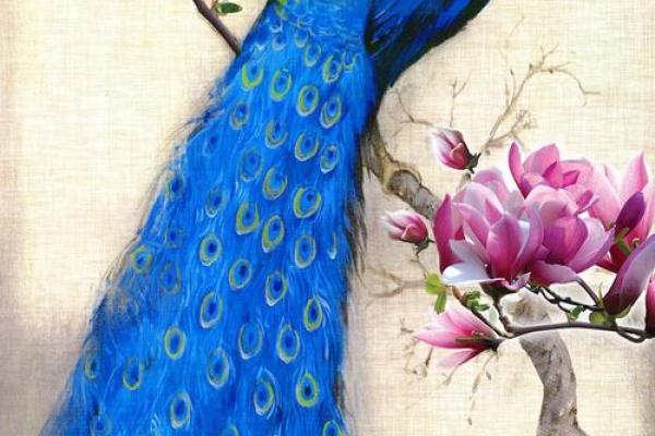 孔雀图的风水好吗 孔雀图的风水好吗