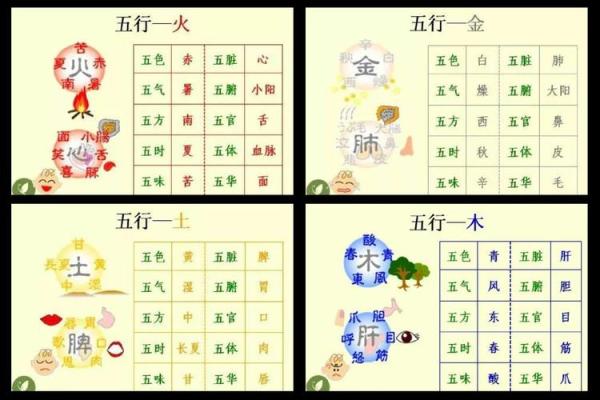 风水文化:食物里的五行秘密 风水文化:食物里的五行秘密