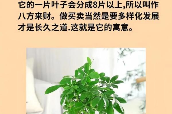 轻松赚钱，财运兴旺的风水妙招