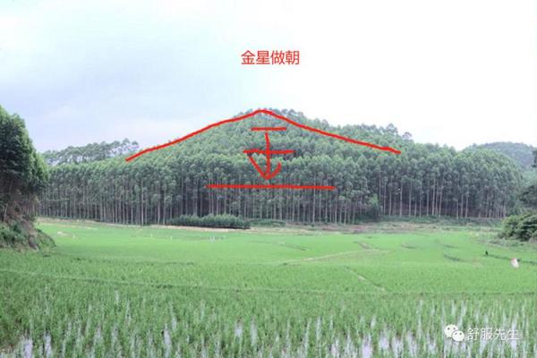 发横财的风水宝地：成一方富室