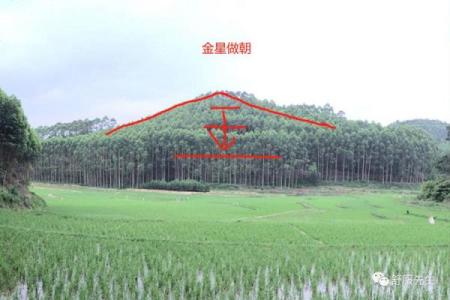 发横财的风水宝地：成一方富室