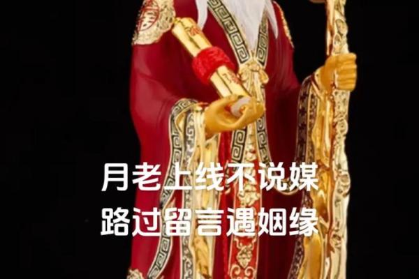 月老姻缘百度云盘下载资源 月老姻缘树是什么树？