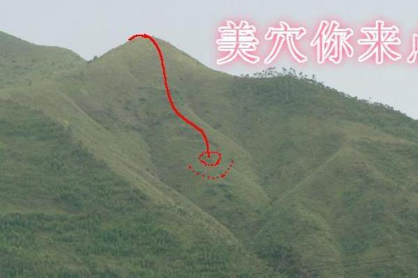 墓穴风水_阴宅风水中的向口和明堂指的是什么