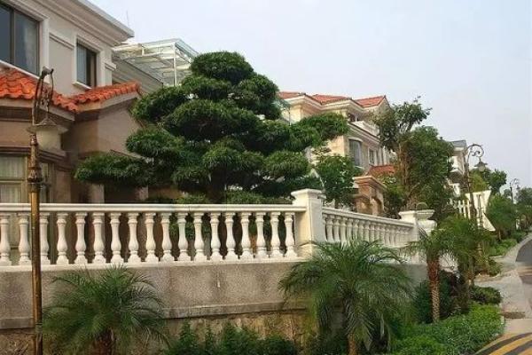 别墅的围墙要注意哪些风水问题 别墅的围墙要注意哪些风水问题