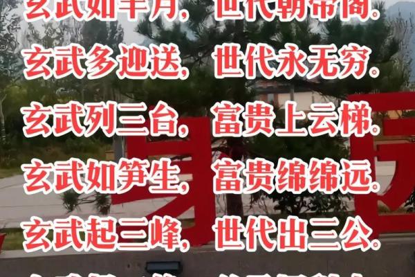 怎样调运气风水金口诀 怎样调运气风水金口诀