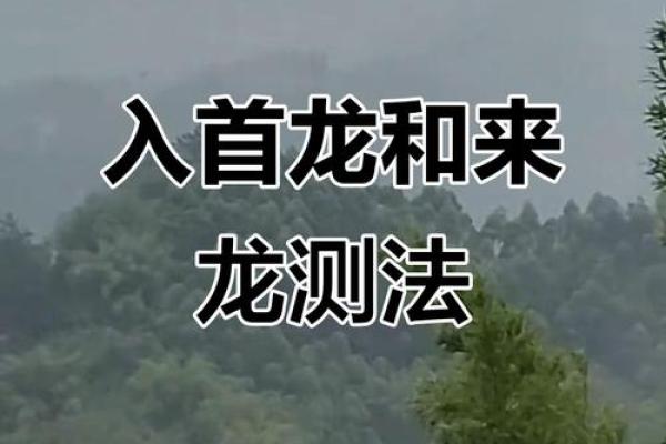 龙的风水作用，龙如何防小人