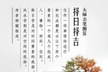 起名阴阳风水术