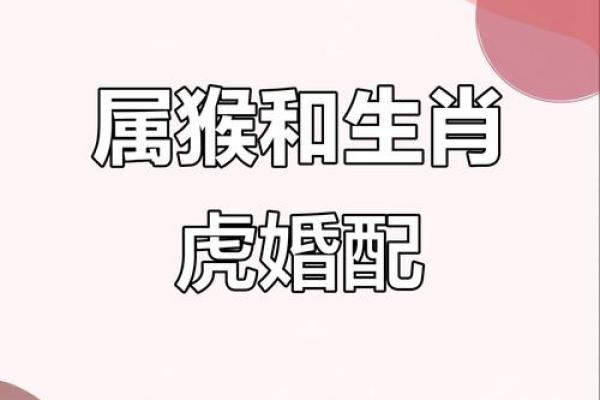 1998女虎婚姻配对 与属马相处融洽生活幸福 1998女虎婚姻配对 与属马相处融洽生活幸福