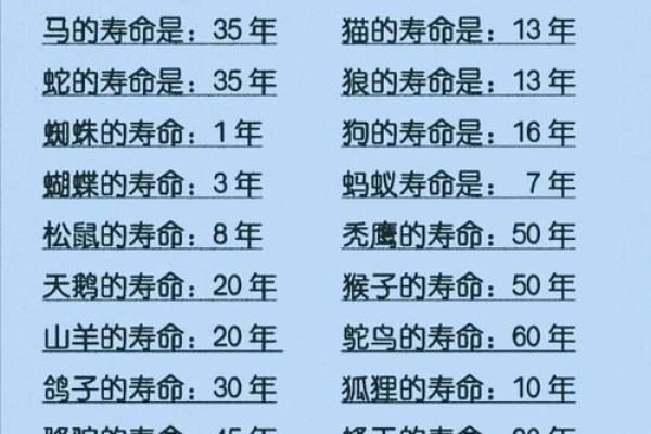 生命灵数3跟灵数几配对