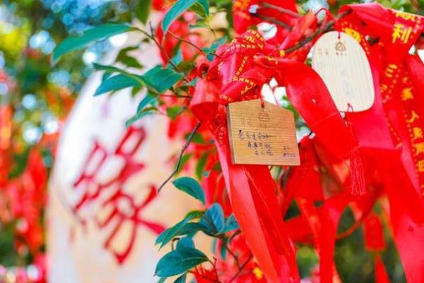 月老掉线姻缘树