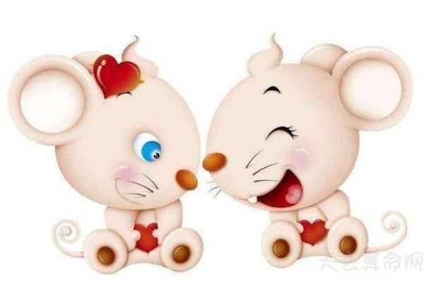 属鼠AB血型的人性格与事业姻缘