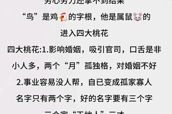 生肖鼠四大血型人的前途 生肖鼠四大血型人的前途