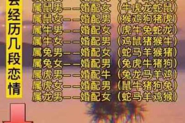 生肖属兔合婚须知，属兔配对需要注意的问题！