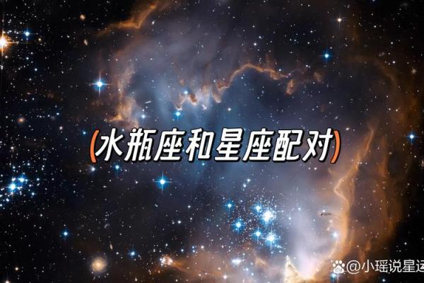 狮子和水瓶配对指数