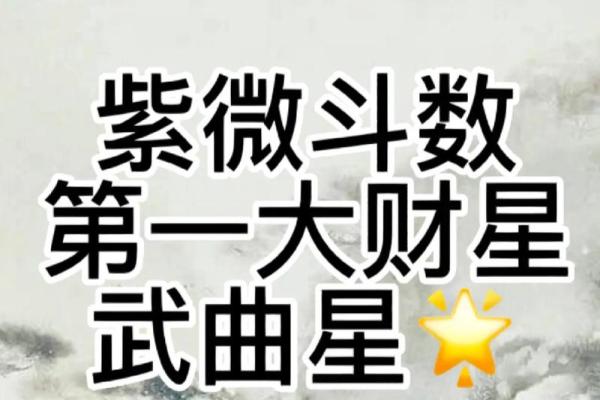 武曲星灵签 武曲星灵签