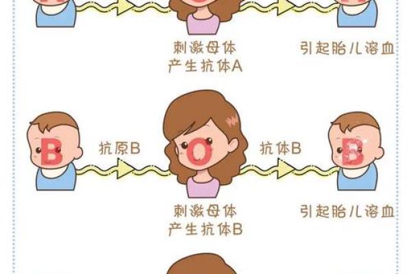 血型会影响怀孕吗- O型血的女性不易受孕