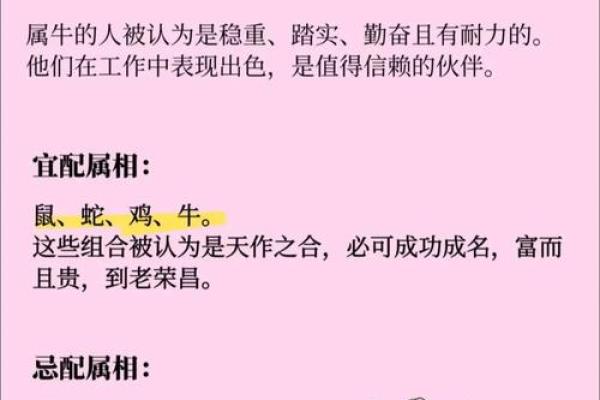 94年属什么的生肖是什么命 94年属什么的生肖配对 94年属什么的生肖是什么命 94年属什么的生肖配对