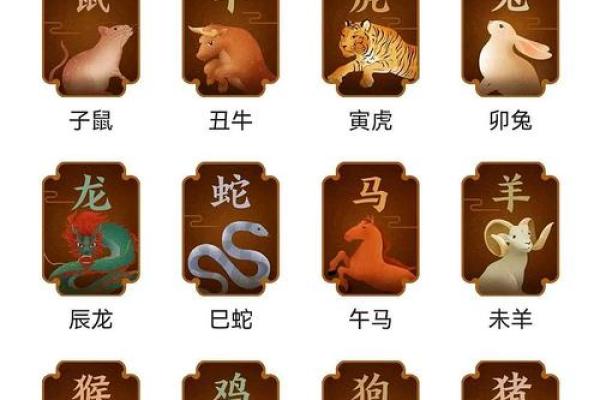 十二生肖属蛇的配对