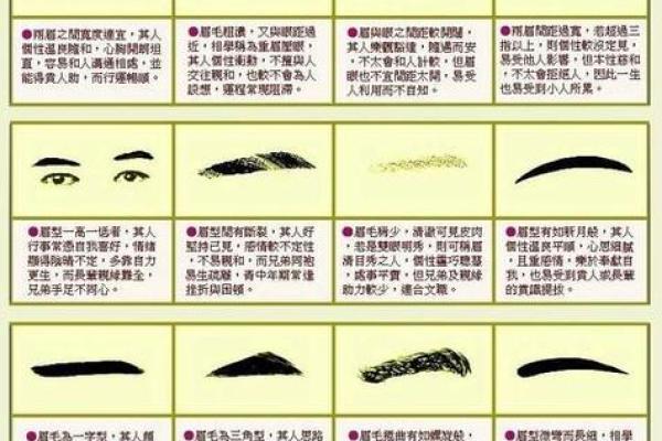 风水面相哪三种眉毛男人最好命 风水面相哪三种眉毛男人最好命