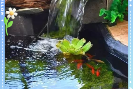 商业风水：公司水池的设计风水