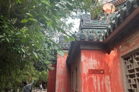 寺庙旁边一楼房子好吗风水