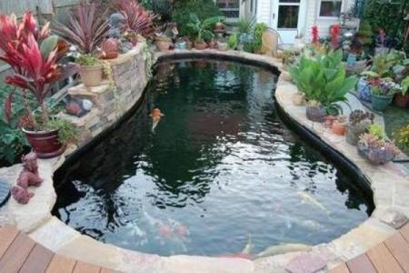 房子后边有鱼塘好不好风水