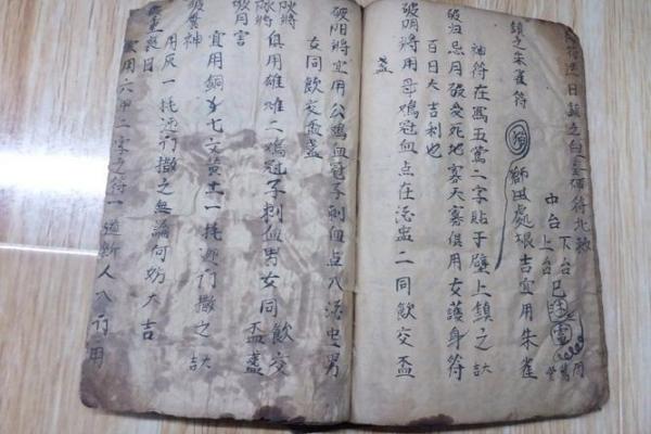 最后一个风水师 丸子