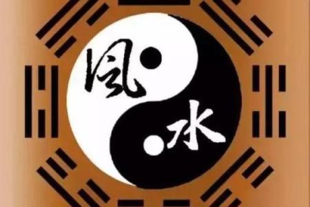 最后一个风水师 丸子