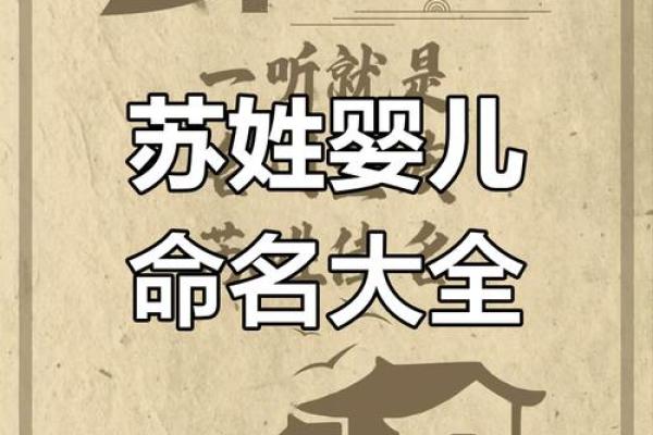 苏姓女孩名字大全-苏姓女孩起名字大全-苏姓名字大全姓名